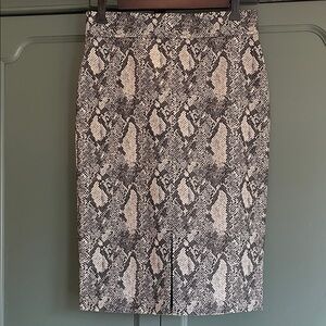 Gorgeous Ann Taylor Snakeskin Skirt Size 2P